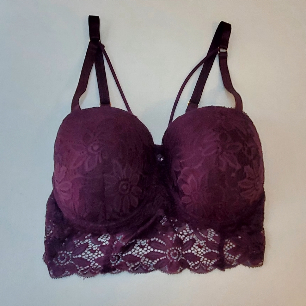 Body Frosting Lace Padded Bra 40C